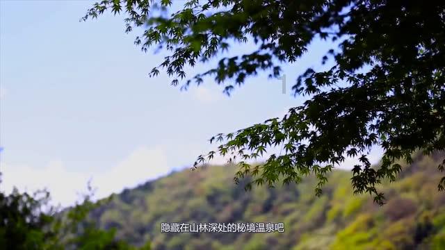 3D保龄球大赛